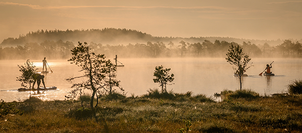 Balance in Estonian society