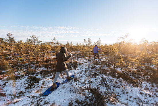 2604_Group of people going hiking in bog_Andres Raudjalg.jpg