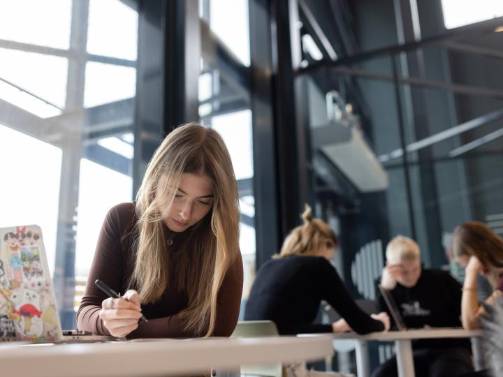 Students studying