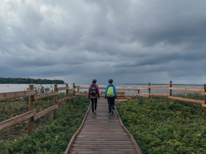 Walking on Paljassaare trail